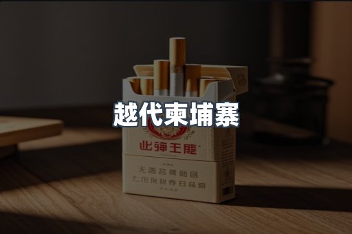越代柬埔寨